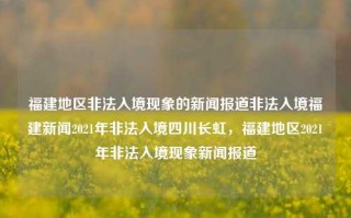 福建地区非法入境现象的新闻报道非法入境福建新闻2021年非法入境四川长虹，福建地区2021年非法入境现象新闻报道，福建地区2021年非法入境现象的新闻报道