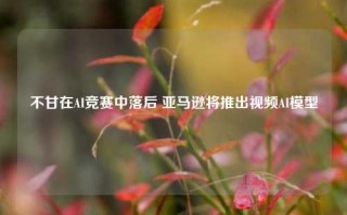 不甘在AI竞赛中落后 亚马逊将推出视频AI模型