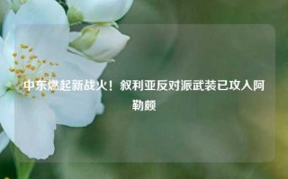 中东燃起新战火！叙利亚反对派武装已攻入阿勒颇