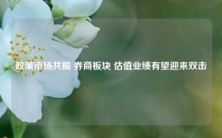 政策市场共振 券商板块 估值业绩有望迎来双击