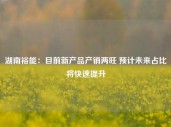 湖南裕能：目前新产品产销两旺 预计未来占比将快速提升