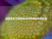 福建泉州卫视新闻,泉州电视台新闻联播