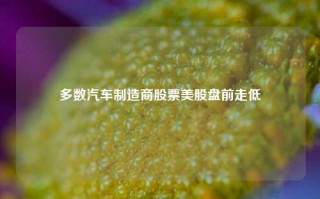 多数汽车制造商股票美股盘前走低