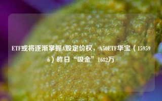 ETF或将逐渐掌握A股定价权，A50ETF华宝（159596）昨日“吸金”1682万