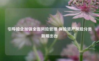 引导险企加强全面风险管理 保险资产风险分类新规出台