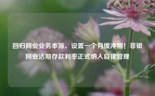 回归同业业务本源、设置一个月缓冲期！非银同业活期存款利率正式纳入自律管理