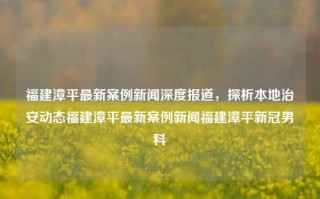 福建漳平最新案例新闻深度报道，探析本地治安动态福建漳平最新案例新闻福建漳平新冠男科