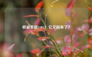 收益率超110%！它又回来了？