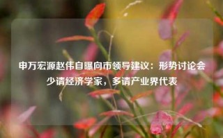 申万宏源赵伟自曝向市领导建议：形势讨论会少请经济学家，多请产业界代表