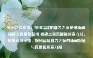 泉州新闻视窗，探秘福建的魅力之源泉州新闻 福建之窗泉州新闻 福建之窗直播视频赛力斯，泉州新闻视窗，探秘福建魅力之源的新闻报道与直播视频赛力斯，探秘福建之魅——泉州新闻视窗直播报道与赛力斯动态盛景。