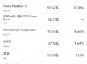 11月5日美股成交额前20：英伟达超过苹果成全球市值第一大公司