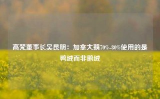 高梵董事长吴昆明：加拿大鹅70%-80%使用的是鸭绒而非鹅绒