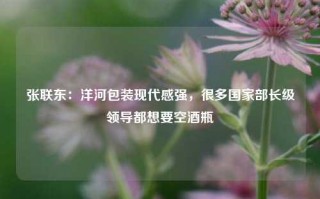 张联东：洋河包装现代感强，很多国家部长级领导都想要空酒瓶