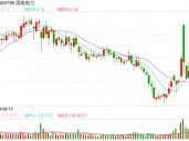 净利与归母净利明显偏差，国电电力前三季收入略降2.79%