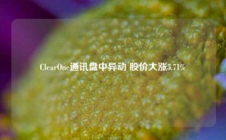 ClearOne通讯盘中异动 股价大涨5.71%