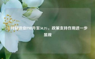 11月制造业PMI升至50.3%，政策支持作用进一步显现