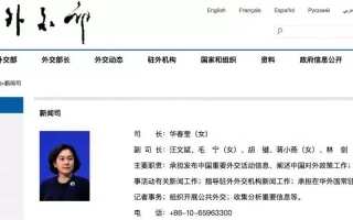 林剑已任外交部副司长，此前在新疆生产建设兵团工作陈道明唯一绯闻女友，嫁大20岁富豪，离异后独自带娃，近况如何？