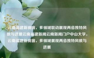 云南福建新视窗，多领域联动展现两省独特风貌与进展云南福建新闻云南新闻门户中山大学，云南福建新视窗，多领域展现两省独特风貌与进展，云南福建新视窗，多领域联动展示两省独特风貌与进展