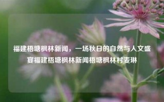 福建梧塘枫林新闻，一场秋日的自然与人文盛宴福建梧塘枫林新闻梧塘枫林村麦琳