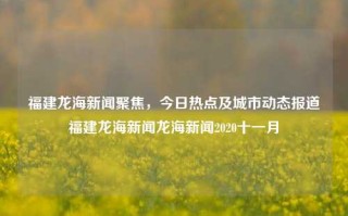 福建龙海新闻聚焦，今日热点及城市动态报道福建龙海新闻龙海新闻2020十一月