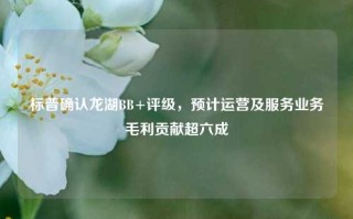 标普确认龙湖BB+评级，预计运营及服务业务毛利贡献超六成