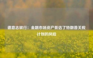 德意志银行：金融市场资产低估了特朗普关税计划的风险