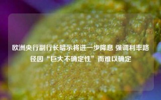 欧洲央行副行长暗示将进一步降息 强调利率路径因“巨大不确定性”而难以确定