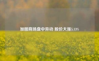 加图商场盘中异动 股价大涨5.13%