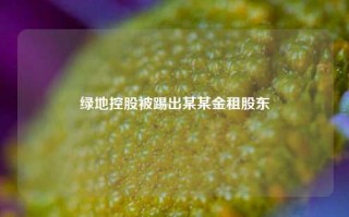 绿地控股被踢出某某金租股东