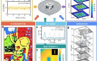 高密度、高可靠性：我国科学家实现金刚石光学信息存储