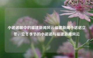 小诺诺眼中的福建新闻风云福建新闻小诺诺立冬，立冬季节的小诺诺与福建新闻风云，小诺诺观察，立冬时节，福建新闻的风云变幻