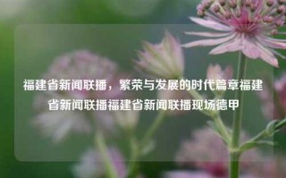 福建省新闻联播，繁荣与发展的时代篇章福建省新闻联播福建省新闻联播现场德甲