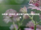 分析师：欧佩克+推迟增产表明对价格感到担忧