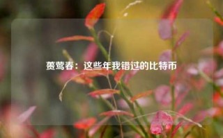 蒉莺春：这些年我错过的比特币