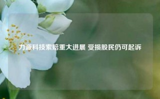 力源科技索赔重大进展 受损股民仍可起诉