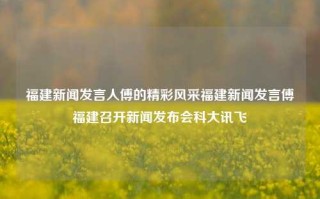 福建新闻发言人傅的精彩风采福建新闻发言傅福建召开新闻发布会科大讯飞