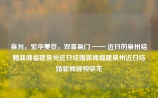 泉州，繁华美景，双喜盈门 —— 近日的泉州结婚新闻福建泉州近日结婚新闻福建泉州近日结婚新闻视频骁龙