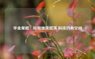 华金策略：短期继续震荡 科技仍有空间