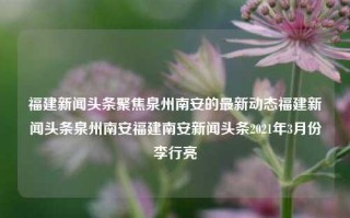 福建新闻头条聚焦泉州南安的最新动态福建新闻头条泉州南安福建南安新闻头条2021年3月份李行亮