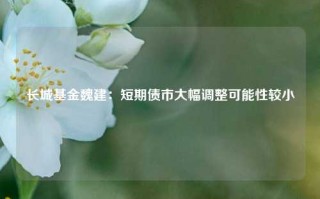 长城基金魏建：短期债市大幅调整可能性较小