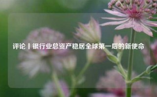 评论丨银行业总资产稳居全球第一后的新使命