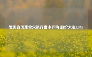 爱国者国家合众银行盘中异动 股价大涨5.38%