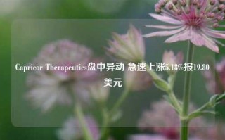 Capricor Therapeutics盘中异动 急速上涨5.18%报19.80美元