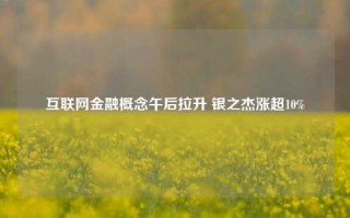 互联网金融概念午后拉升 银之杰涨超10%