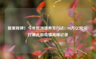 新里程碑！今年欧洲债券发行达1.705万亿欧元 打破此前疫情高峰记录