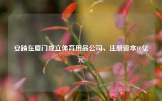 安踏在厦门成立体育用品公司，注册资本10亿元