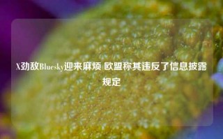 X劲敌Bluesky迎来麻烦 欧盟称其违反了信息披露规定