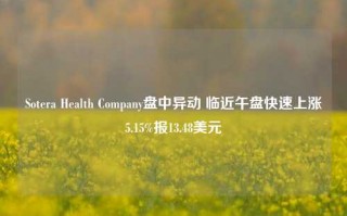 Sotera Health Company盘中异动 临近午盘快速上涨5.15%报13.48美元