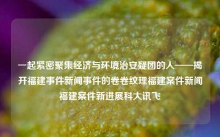 一起紧密聚集经济与环境治安疑团的人——揭开福建事件新闻事件的卷卷纹理福建案件新闻福建案件新进展科大讯飞