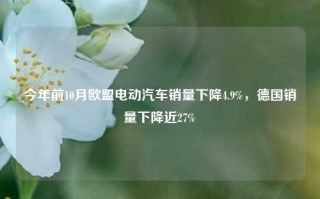 今年前10月欧盟电动汽车销量下降4.9%，德国销量下降近27%